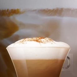 Nescafé Dolce Gusto Cappuccino Capsules - 90 Koffiecups 15 Nescafé Dolce Gusto Cappuccino Capsules - 90 Koffiecups -Koffie Series Winkel 1190x1200 3