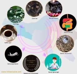 Kopi Luwak Koffie. 35 Gram Ongemalen Bonen. Direct Trade. Single Origin. The Original By Rich.Exclusive. -Koffie Series Winkel 1200x1153 1